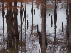 -白鹭湾湿地公园