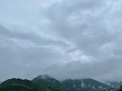 -后柳水乡