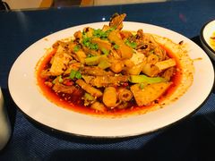 凉拌鸡-院8里·小乐园家常味川菜(鹭洲里店)