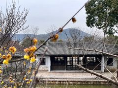 -无锡梅园公园