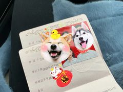 -香樟花园法式铁板烧(恒隆广场店)