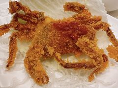 -利苑酒家(华熙国际店)