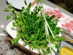 -海底捞火锅(和安宁春城店)
