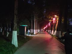 -桃花岛公园