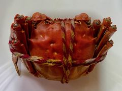 螃蟹-团结圩农家乐