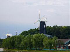 -上海鲜花港