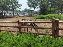 -大连森林动物园