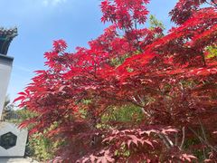 -北京友谊宾馆·俄罗斯餐厅