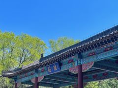 -北陵公园