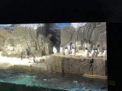 -成都浩海立方海洋公园