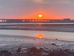 -宝安西湾红树林湿地公园