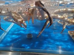 -盒马鲜生(顺义店)