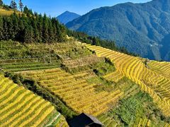 -龙脊梯田