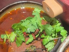 -古都历食南京菜·烤鸭·鸭血粉丝·汤包(南京博物院店)