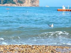 -银沙滩浴场
