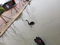 -琅岐红光湖公园