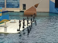 -秦皇岛乐岛海洋王国