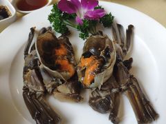 -王宝和酒家(黄浦店)