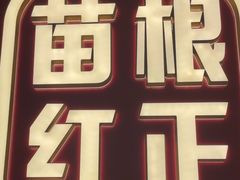 -遇东北林区铁锅炖(南开店)