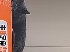 -芭比堂动物医院·CT·微创中心(新顺分院)