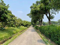 -光明农场大观园