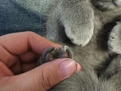 -酷宠动物医院(天通西苑店)