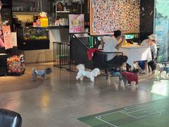 -百好乐宠物友好餐厅(朝外大街店)