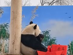 -秦皇岛野生动物园