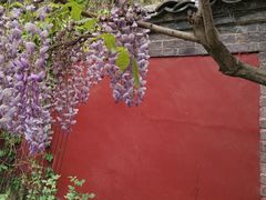 -红螺寺