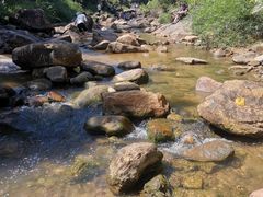 -广州白江湖森林公园