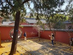 -泰山风景名胜区-普照寺