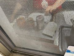 -老汪猪头肉春饼店