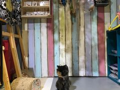 -小时光咖啡馆(开森度假森林店)
