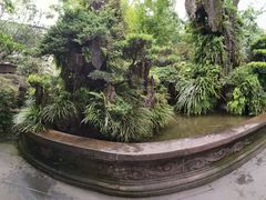 -成都武侯祠博物馆