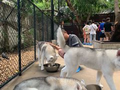 -TrueLove @ Neverland (Husky Cafe)