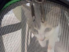 -虹泰宠物医院 ·旗舰店·24h(南秀路店)
