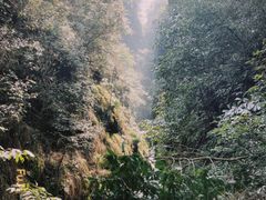 -午潮山国家森林公园