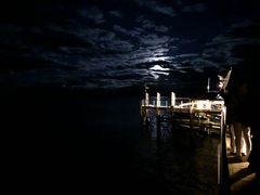 -怀托摩萤火虫洞