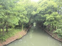-同里国家湿地公园