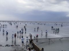 -碧海金沙