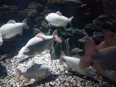 -多彩贵州城极地海洋世界