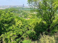 -苏州上方山国家森林公园