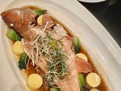 -上海1号私藏菜(黄浦店)