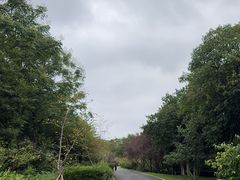 -宜兴龙背山森林公园
