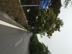 八大关景区-八大关景区