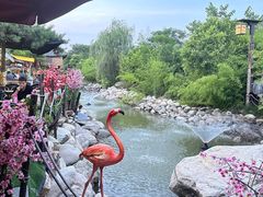 -茯茶镇