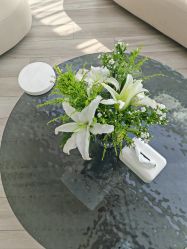 -HEYAN荷妍专业脱毛连锁机构