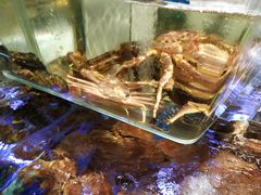 -盒马鲜生(悠方店)