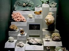 -美国自然历史博物馆