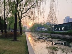 -元大都城垣遗址公园